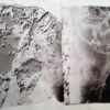 palladium print - abstract image by Alice Garik