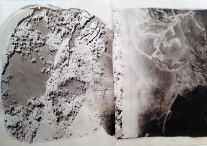 palladium print - abstract image by Alice Garik