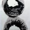 palladium print - shell imagery based on scallop shells found in Maine by Alice Garik