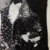 palladium print - abstract image of an iris by Alice Garik