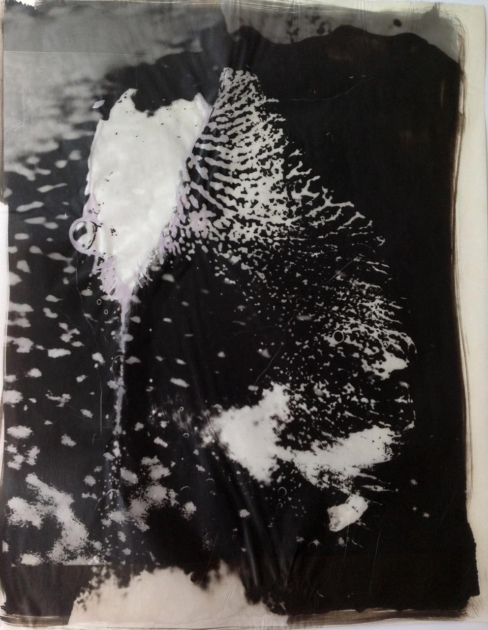 palladium print - abstract image of an iris by Alice Garik