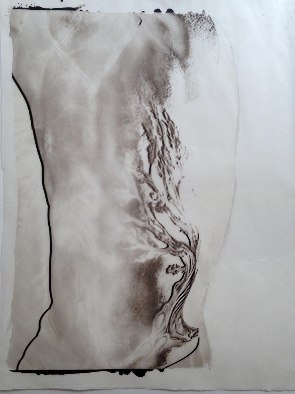 palladium print - abstract image of a man's torso with tree tattoo by Alice Garik
