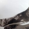 palladium print - abstract image of tattoos shaped in the form of a boat by Alice Garik