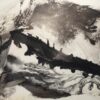 palladium print - abstract image of tree tattoo with seaweed by Alice Garik