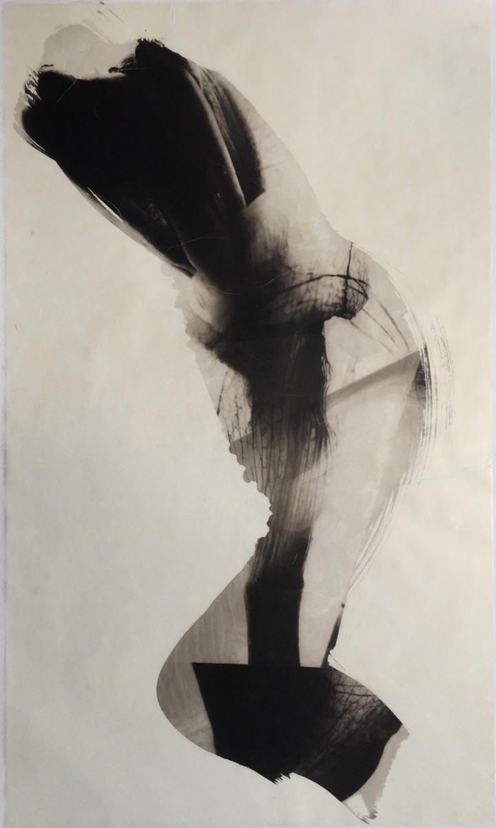 palladium print - abstract image based on iris by Alice Garik