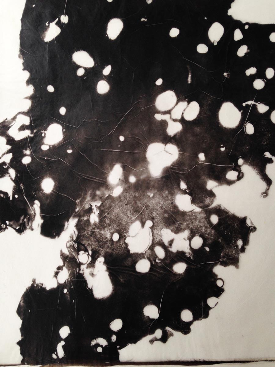 palladium print - abstract image of seaweed by Alice Garik