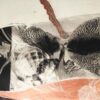 palladium print - abstract image of a spider tattoo and iris by Alice Garik