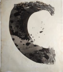 palladium print - abstract image of seaweed in the shape of a wave by Alice Garik