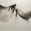 palladium print - abstract image of a tattoo and an iris in the shape of two valleys by Alice Garik