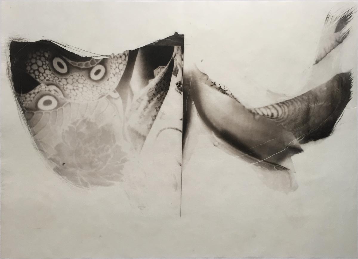palladium print - abstract image of a tattoo and an iris in the shape of two valleys by Alice Garik