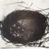 Bird's nest in palladium black & white on Japanese gampi