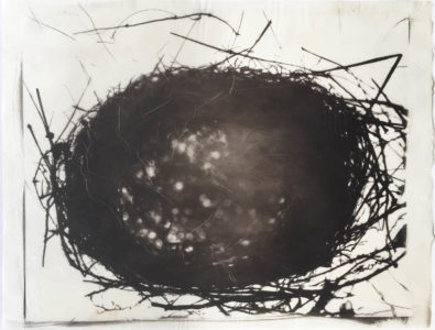 Bird's nest in palladium black & white on Japanese gampi