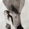 Part of an Iris flower and part of a woman's hand holding a baby are together in this palladium print collage.