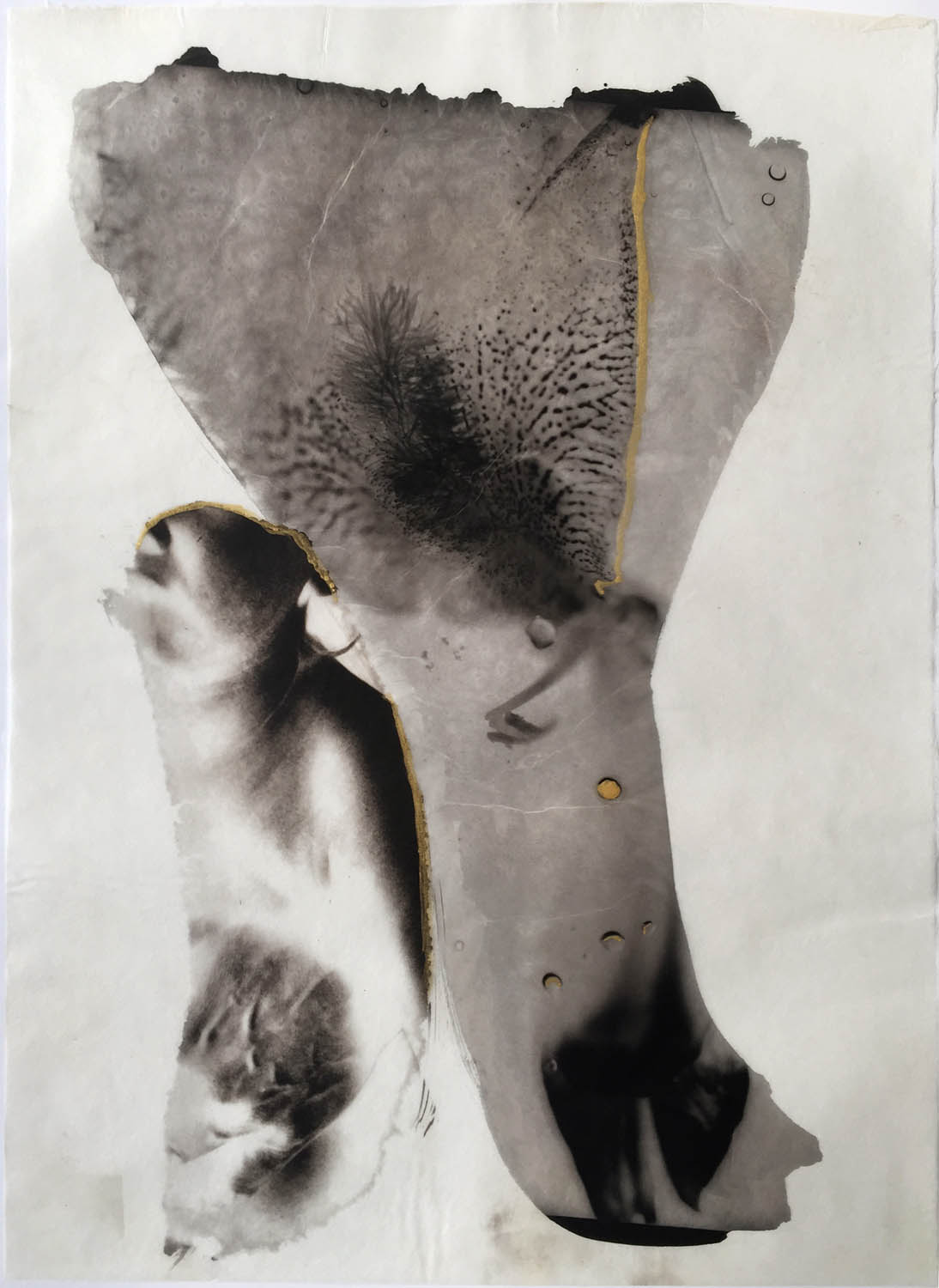 Part of an Iris flower and part of a woman's hand holding a baby are together in this palladium print collage.