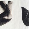 Two wings of a moth, one of which is embraced by a woman's tattooed arms.