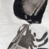 This diptych of a spider moving among parts of an Iris flower.