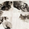 A wave formed by seaweed and tattoos crests in a circle pattern. Palladium on Japanese gampi paper.