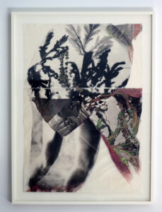 Breath - a photographic work by Alice Garik