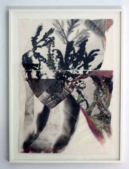 Breath - a photographic work by Alice Garik